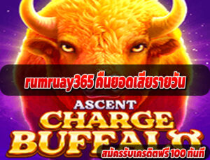 rumruay365 คืนยอดเสียรายวัน