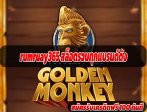 rumruay365 สล็อตรวมทุกแบรนด์ดัง