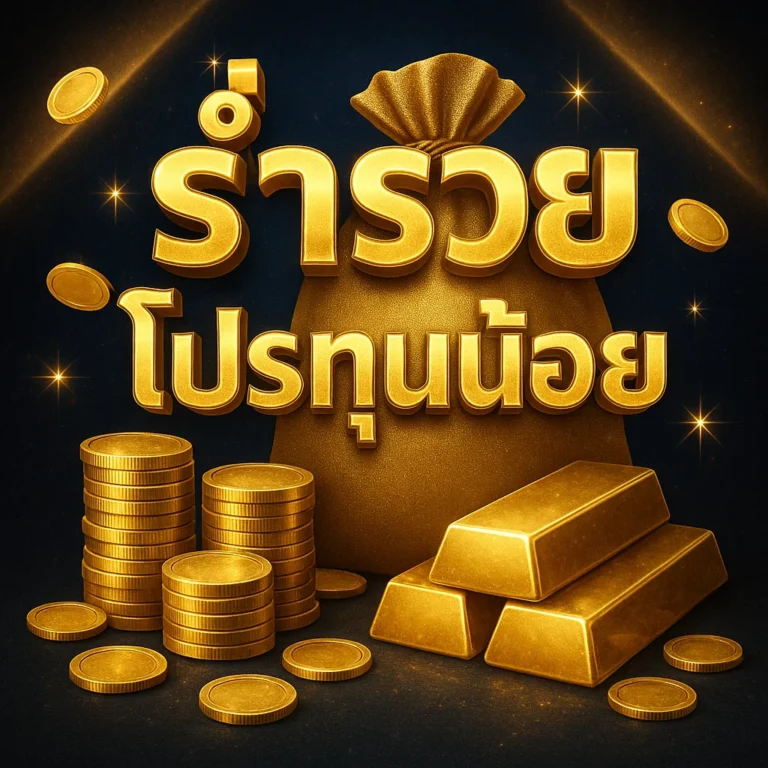 ร่ำรวย โปรทุนน้อย